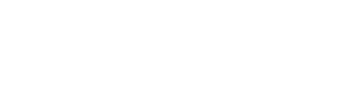 Logo Fit Sou